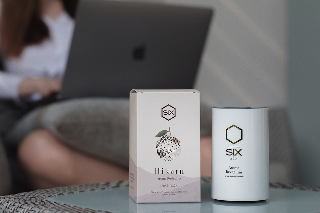 A Beautiful Christmas with Scent by SIX