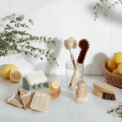 Uncommon Dish Brush Starter Kit