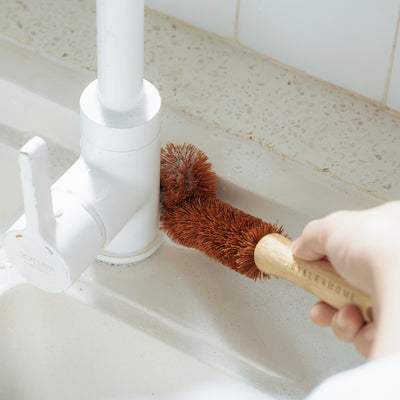 Uncommon Bottle Brush