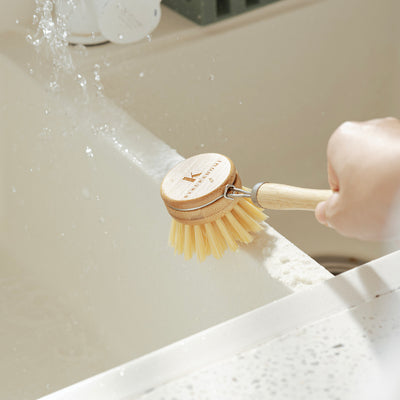 Uncommon Long Handle Dish Brush