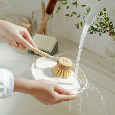 Uncommon Long Handle Dish Brush