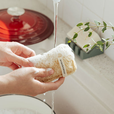 Uncommon Loofah Dish Sponge
