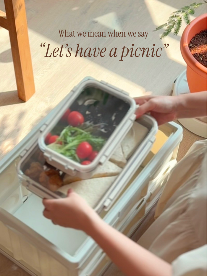 lets have a picnic
