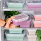 Lejos Silicone Collapsible Lunch Box