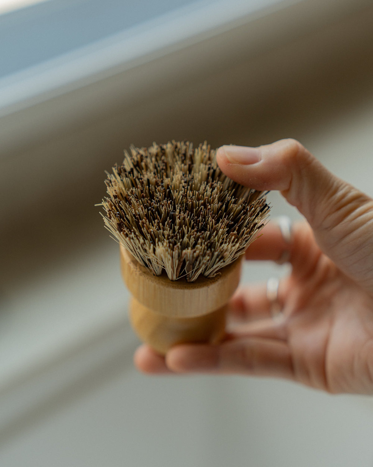 Uncommon Dish Brush