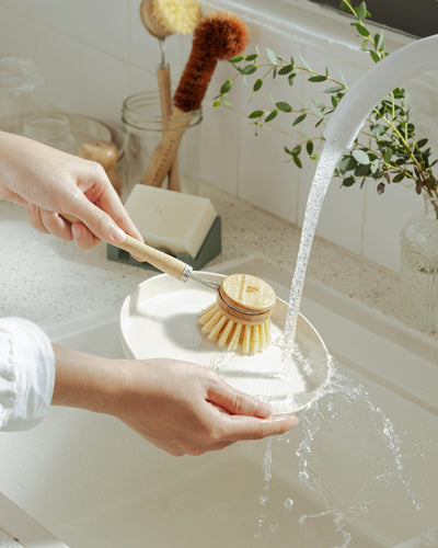 Uncommon Long Handle Dish Brush