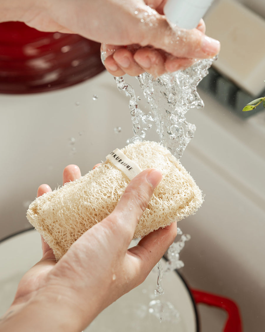 Uncommon Loofah Dish Sponge