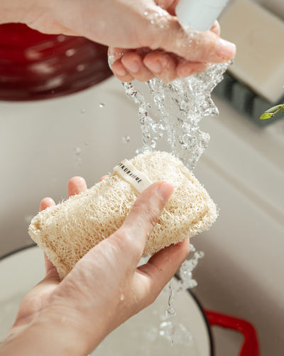 Uncommon Loofah Dish Sponge