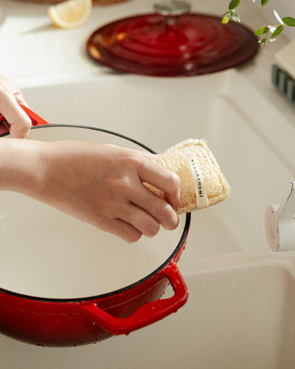 Uncommon Loofah Dish Sponge