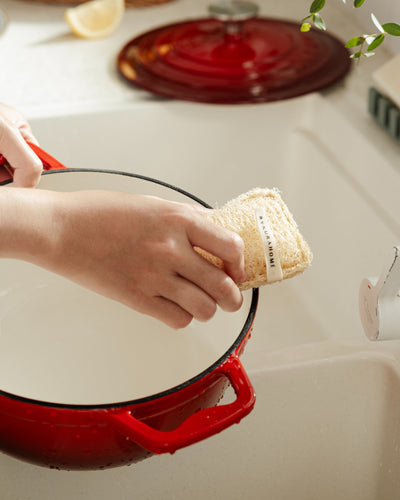 Uncommon Loofah Dish Sponge
