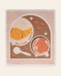 Uncommon Sponge Cloth