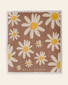 Uncommon Sponge Cloth