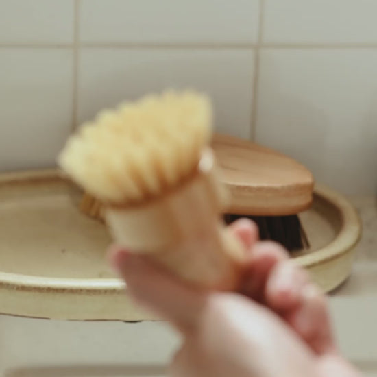 Uncommon Dish Brush